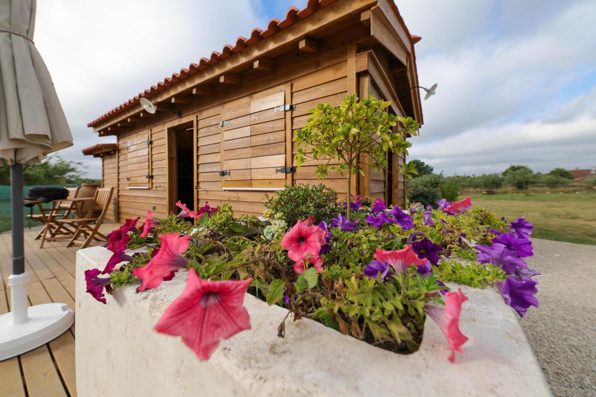 Renovated Wine Press House - With Pool Porto de Mós Quarto foto